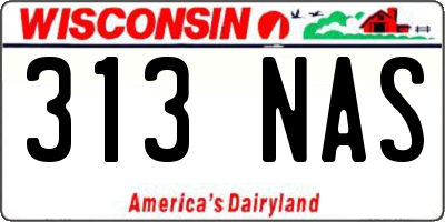 WI license plate 313NAS
