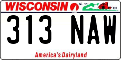 WI license plate 313NAW