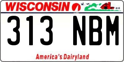 WI license plate 313NBM