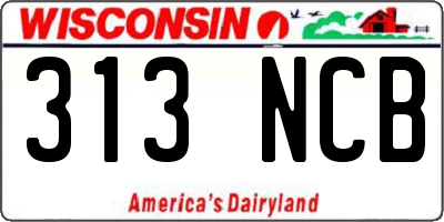WI license plate 313NCB