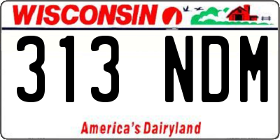 WI license plate 313NDM