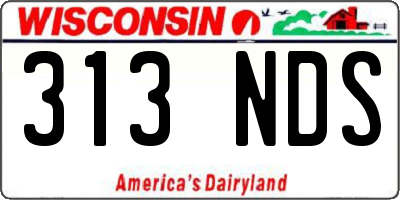 WI license plate 313NDS