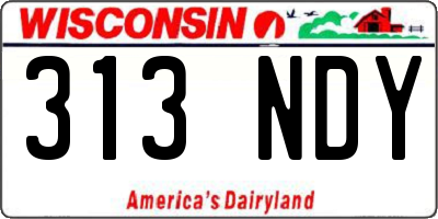 WI license plate 313NDY