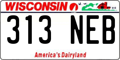 WI license plate 313NEB