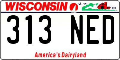WI license plate 313NED