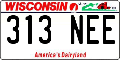 WI license plate 313NEE