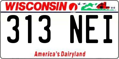 WI license plate 313NEI