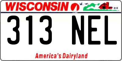 WI license plate 313NEL