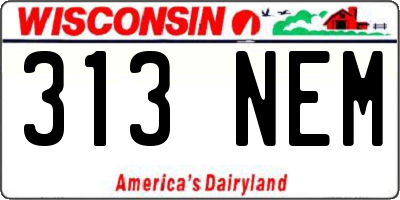 WI license plate 313NEM