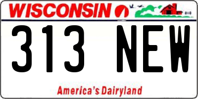 WI license plate 313NEW