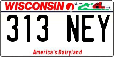 WI license plate 313NEY