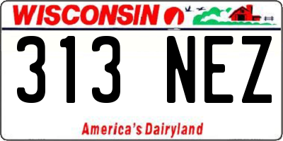 WI license plate 313NEZ