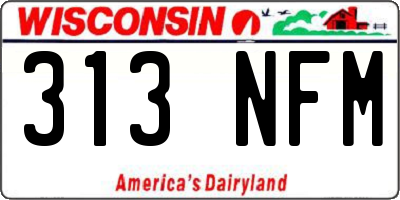 WI license plate 313NFM