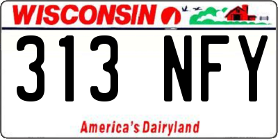 WI license plate 313NFY