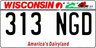 WI license plate 313NGD