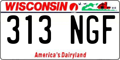WI license plate 313NGF
