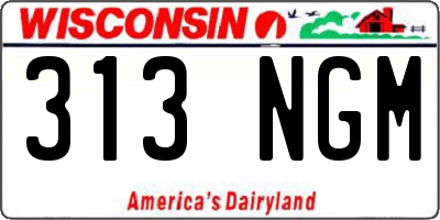 WI license plate 313NGM