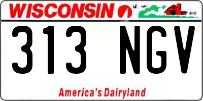 WI license plate 313NGV