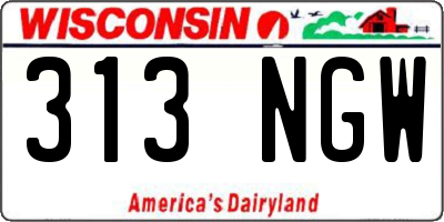 WI license plate 313NGW