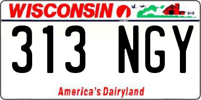 WI license plate 313NGY