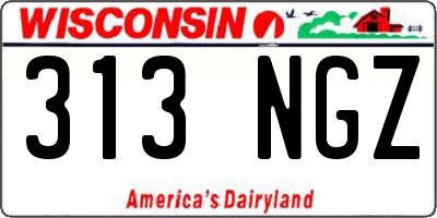 WI license plate 313NGZ