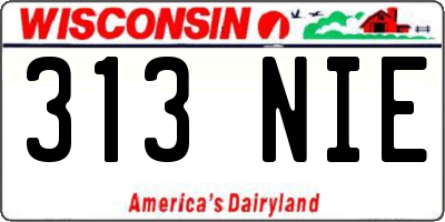 WI license plate 313NIE