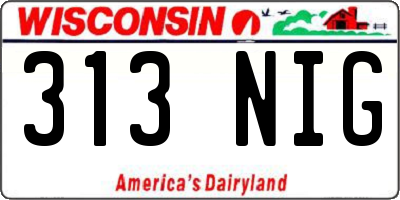 WI license plate 313NIG