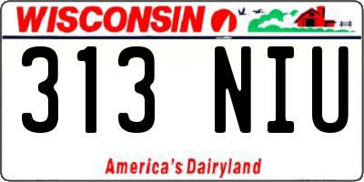 WI license plate 313NIU