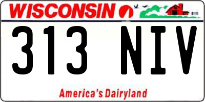 WI license plate 313NIV