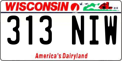 WI license plate 313NIW