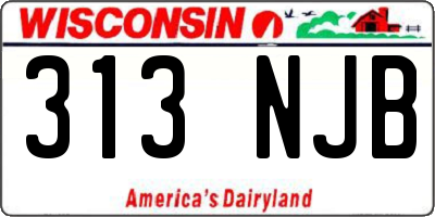 WI license plate 313NJB