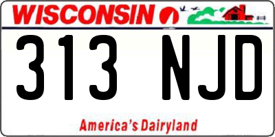 WI license plate 313NJD
