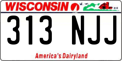 WI license plate 313NJJ