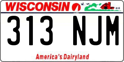 WI license plate 313NJM