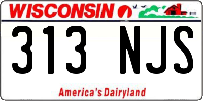 WI license plate 313NJS