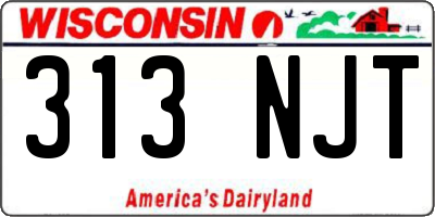 WI license plate 313NJT