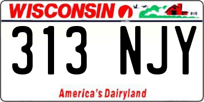 WI license plate 313NJY