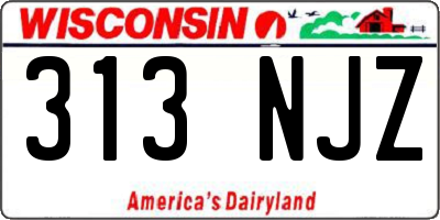 WI license plate 313NJZ