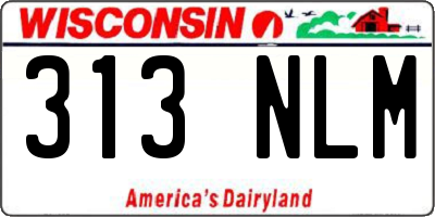 WI license plate 313NLM