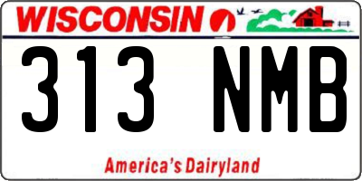 WI license plate 313NMB