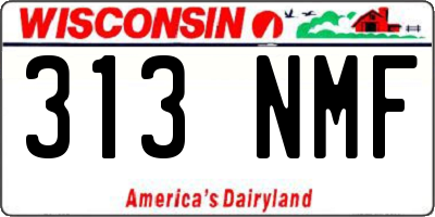 WI license plate 313NMF
