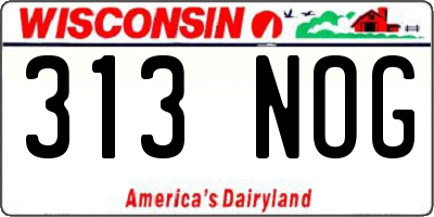 WI license plate 313NOG