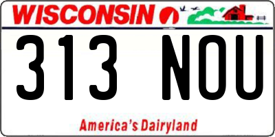 WI license plate 313NOU