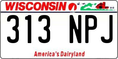 WI license plate 313NPJ