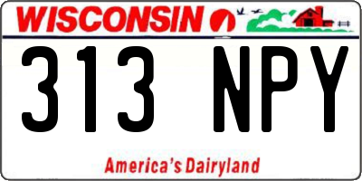 WI license plate 313NPY