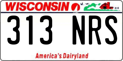 WI license plate 313NRS