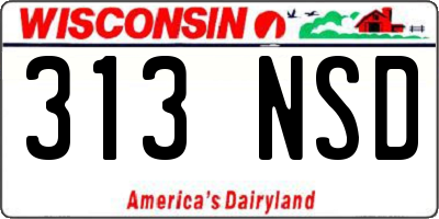 WI license plate 313NSD