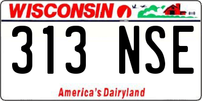 WI license plate 313NSE