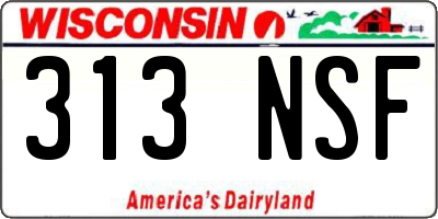 WI license plate 313NSF