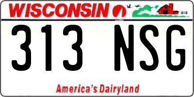 WI license plate 313NSG